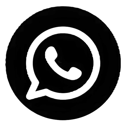 WhatsApp icon